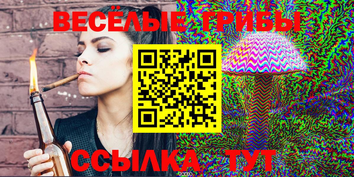 Галлюциногенные грибы Cubensis  Вход с VPN  Галлюциногенные грибы мицелий  Кудрово 
